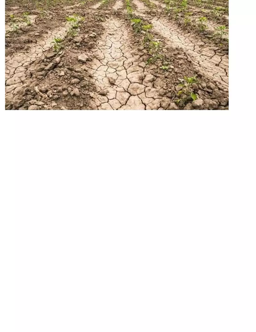 Ordinanza n. 18/2026