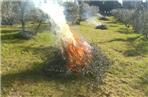 Ordinanza per la combustione degli sfalci