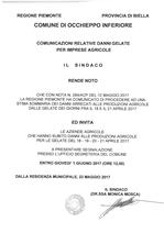 Comunicazioni relative danni gelate per imprese agricole