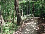 PRESENTAZIONE PIANO NATURALISTICO SPINA VERDE